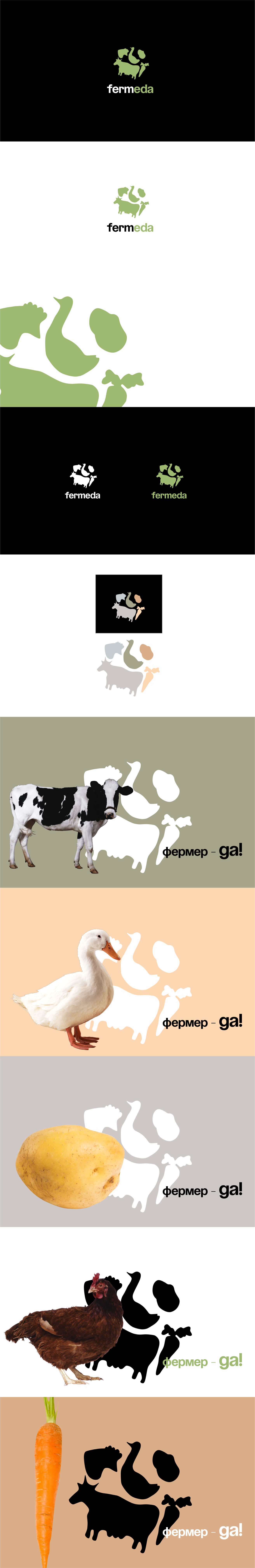 fermeda 1.png