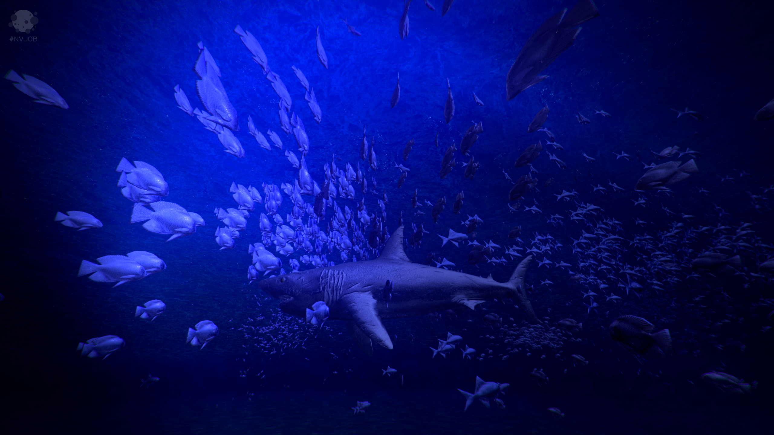 NVJOB Simple Boids 12.jpg