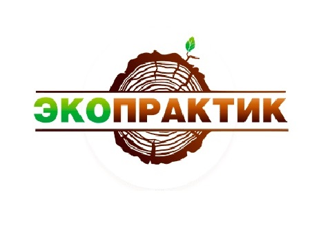 ЭкоПрактик (1).png