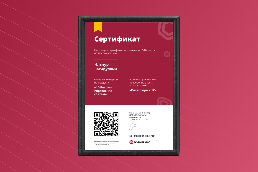 006 Ильнур Загидуллин разработка сайтов, приложений, sopdu.png
