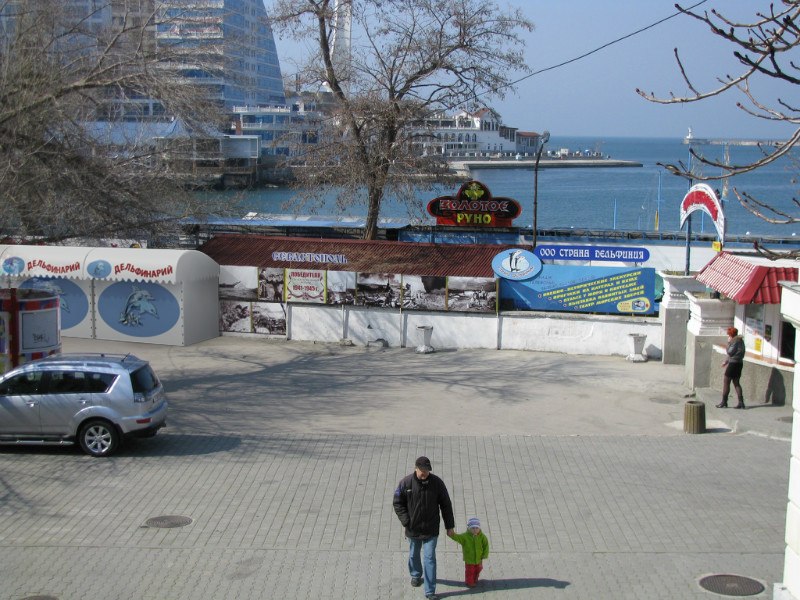 y_e08a87c6.jpg