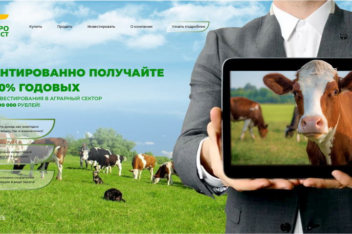 Сайт