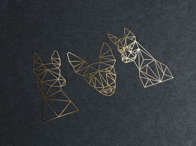 polygonal graphics