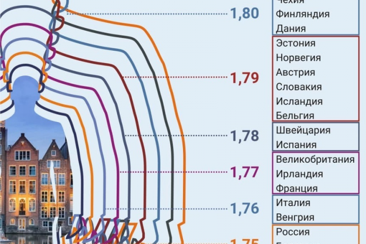 Инфографика