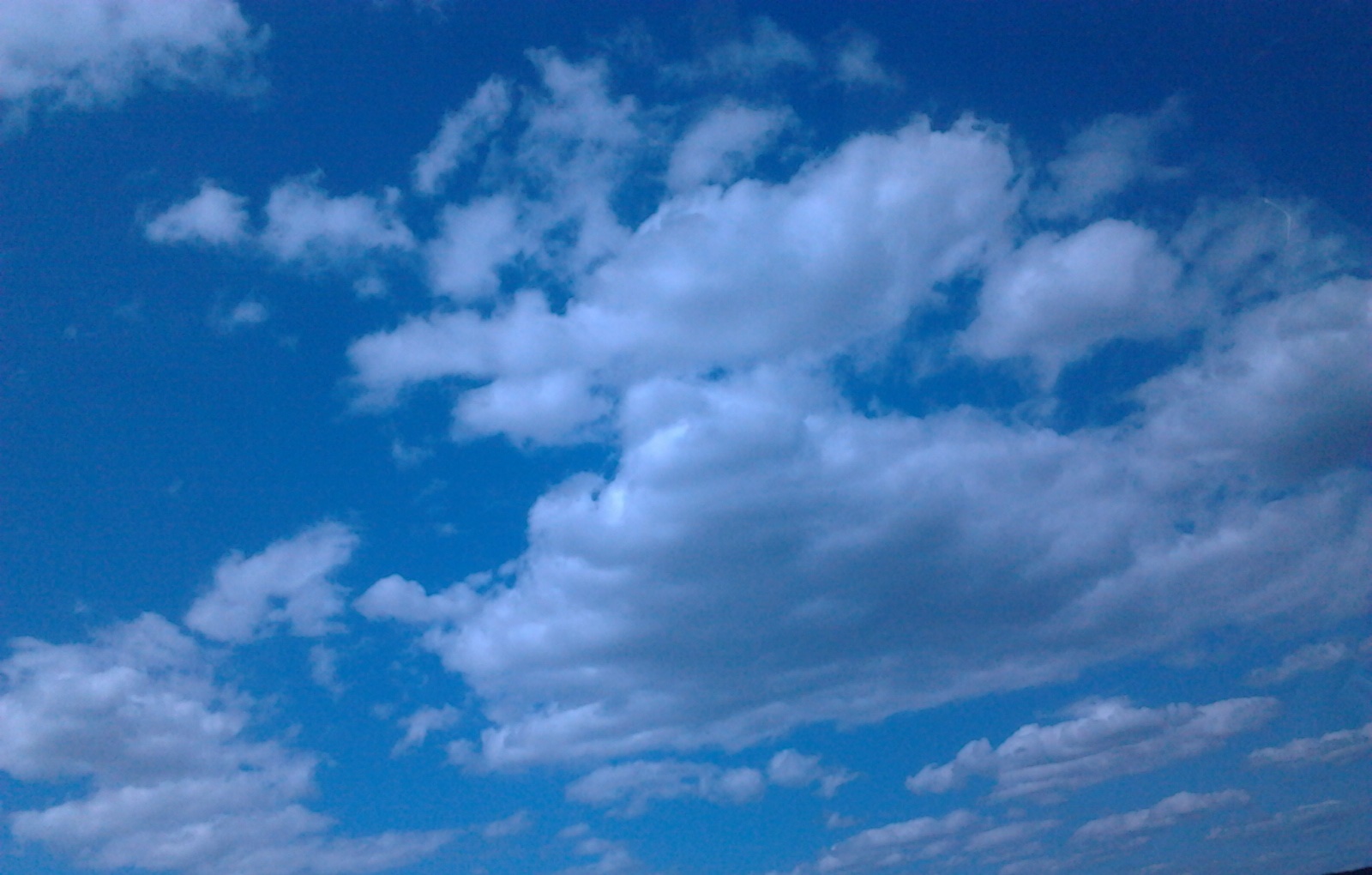 pic1600500.jpg