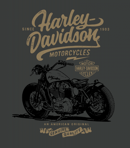 Из растра в вектор(Harley)