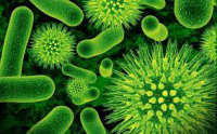 Fatal diseases of the last centuries