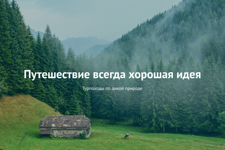Forest Travel