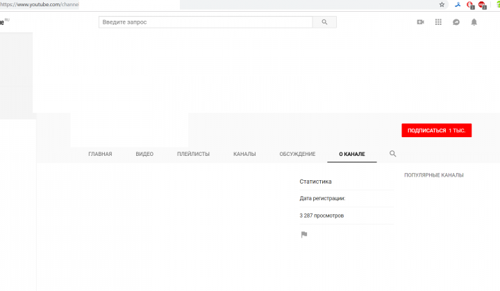 раскрутка в youtube 1000 подписчиков