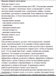 Функции спинного мозга(кратко)