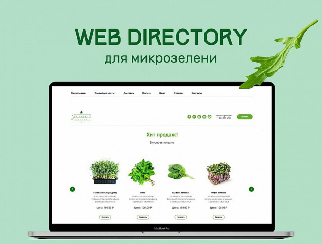 Создание интернет-магазина микрозелени