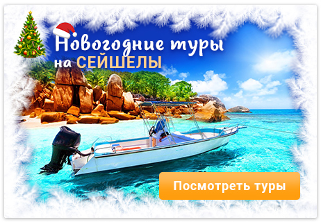 Новогодние туры