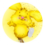 Sunny Bunny