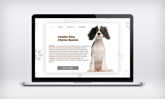 Banner Spaniel