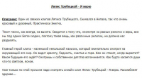 Описание видео клипа