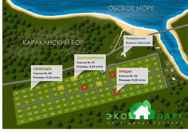Стилизация генплана для сайта (продажа участков)