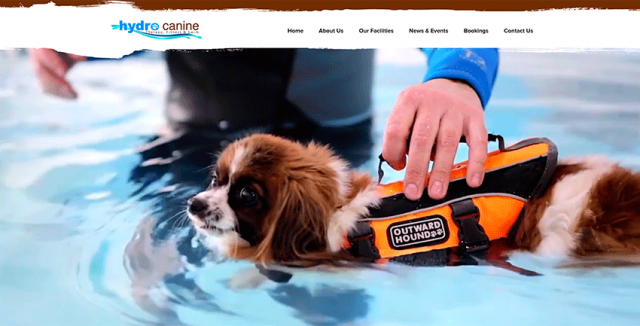 Лендинг Hydro Canine