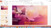 презентация спа продуктов