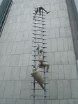 Работа 1221803