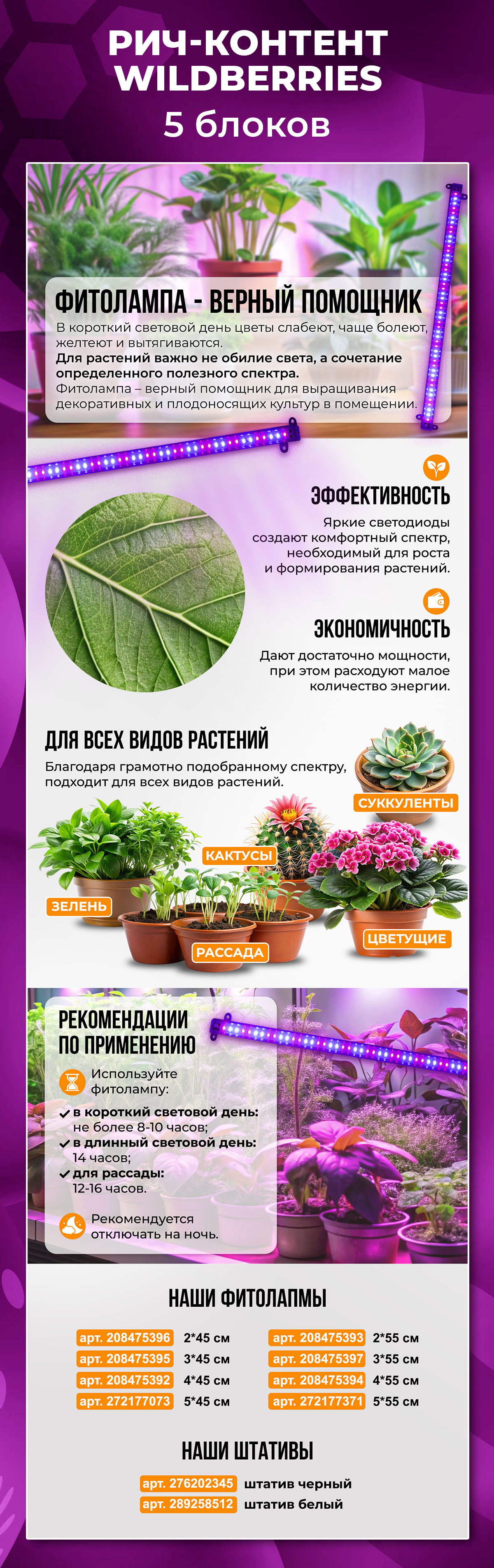 Шаблон5_5.jpg