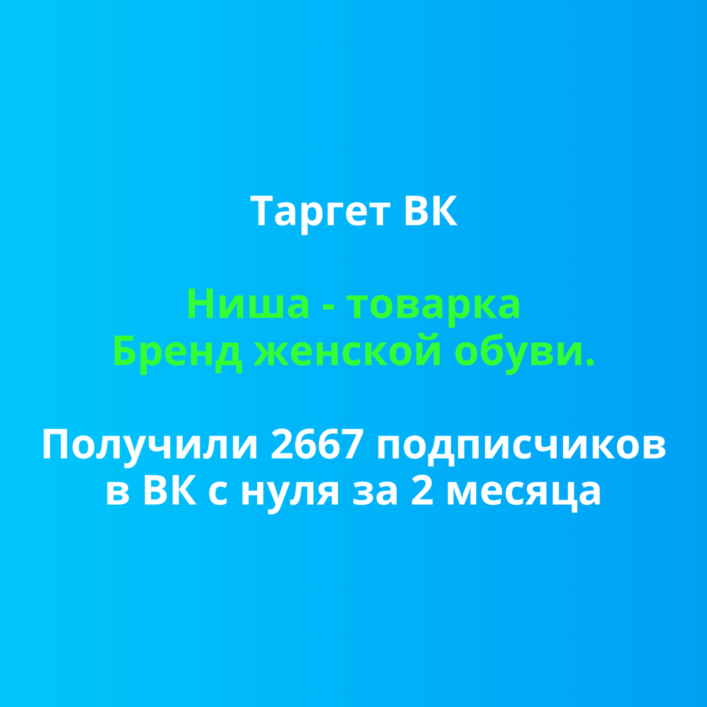 Бренд женской обуви. Получили 2667 подписчиков в ВК с нуля за 2 месяца. Но не все так радужно, как может показаться.