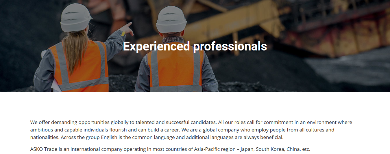 Screenshot_2020-05-21 Experienced professionals.png
