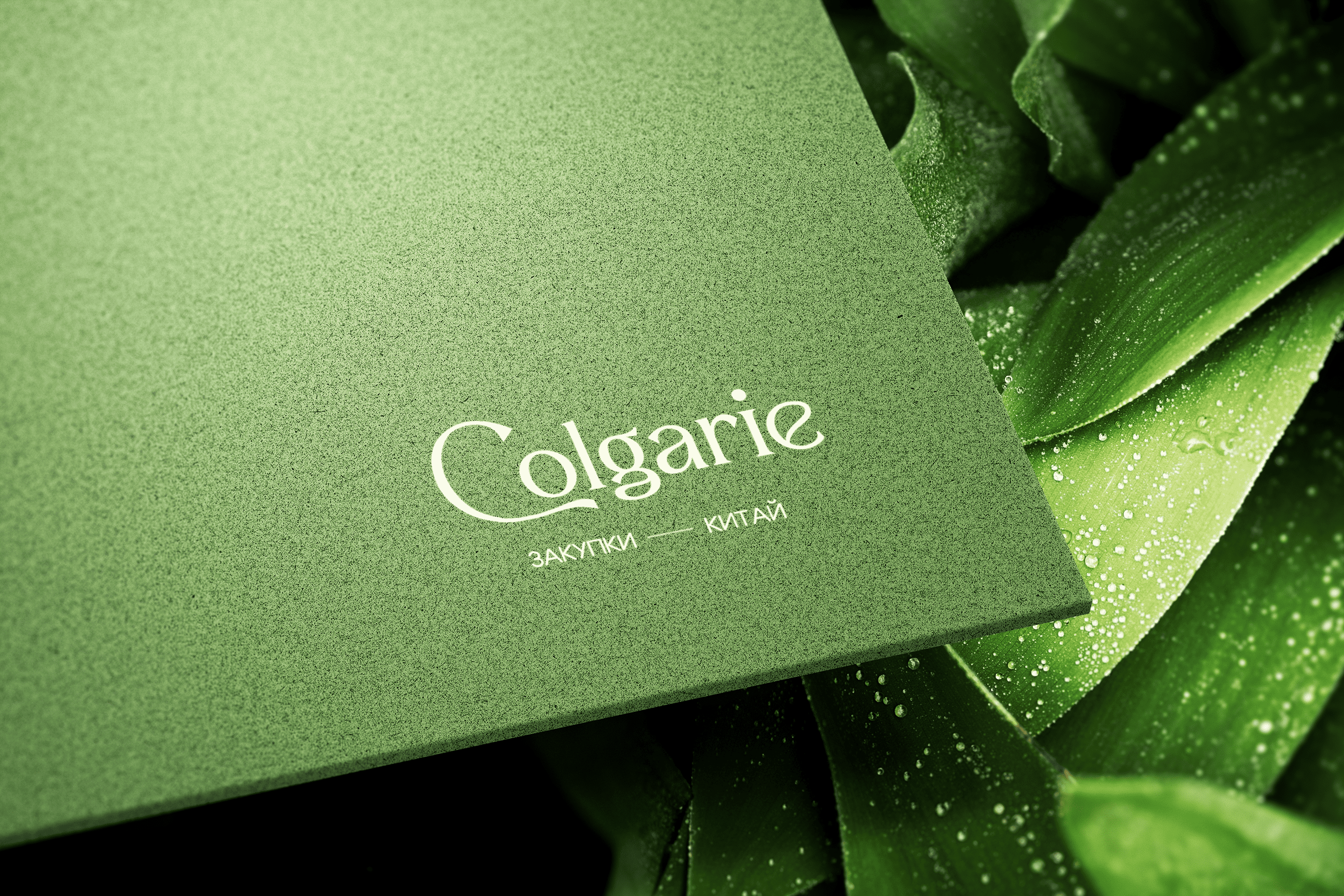 Colgarie — айдентика для компании по закупкам в Китае