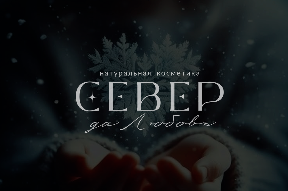 Логотип Север Любовь
