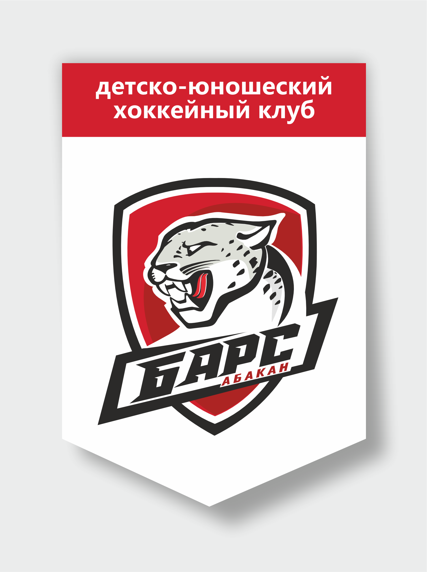 барс-2.png