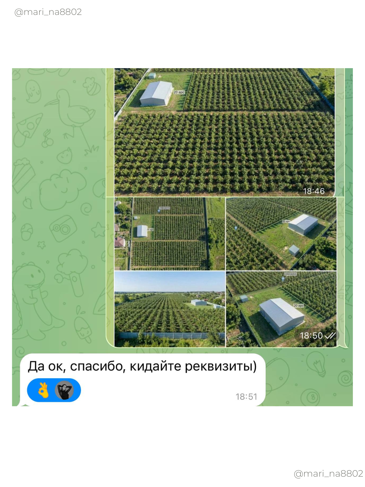 Без названия (1600 x 1200 пикс.) (1200 x 1600 пикс.) - 3.png