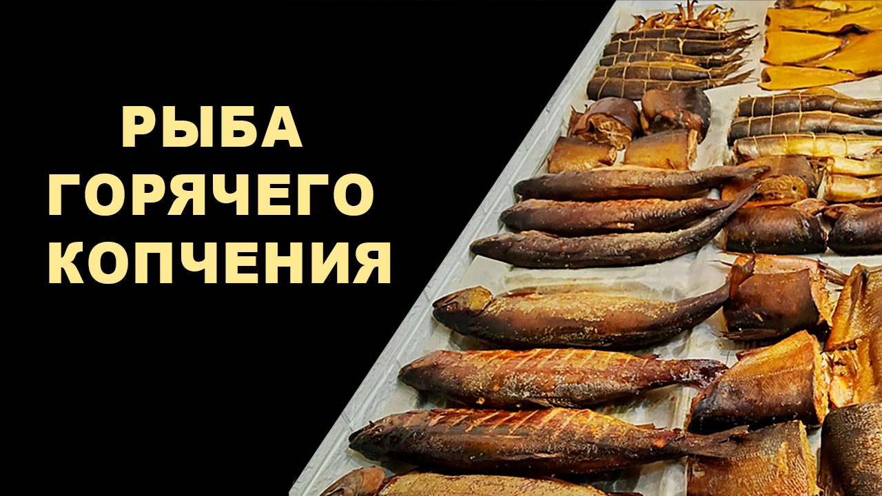 обложка ВК.png