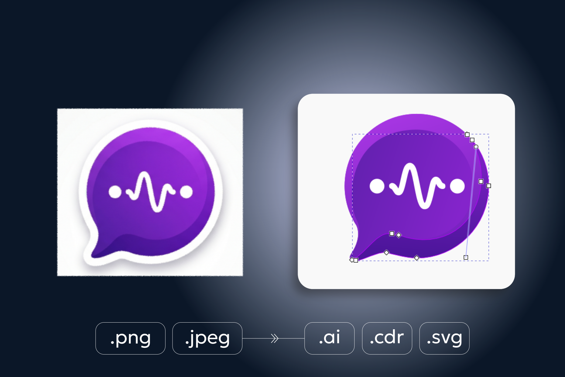 COVER_vector_1240 (96_280426)_g442.png