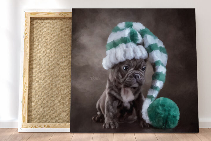 Digital Pet Portrait (цифровая живопись по вашему фото)