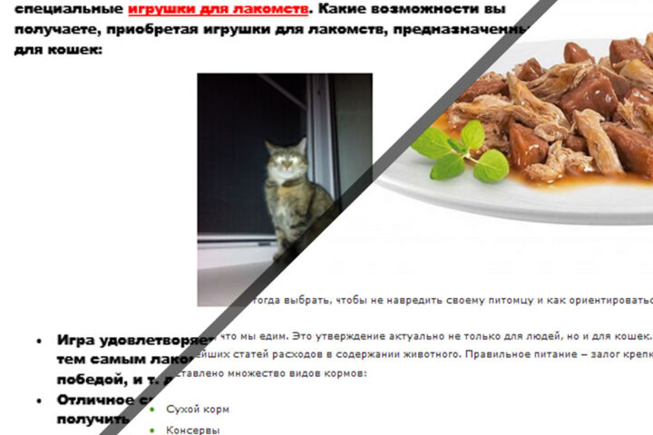 Наполнение сайта контентом