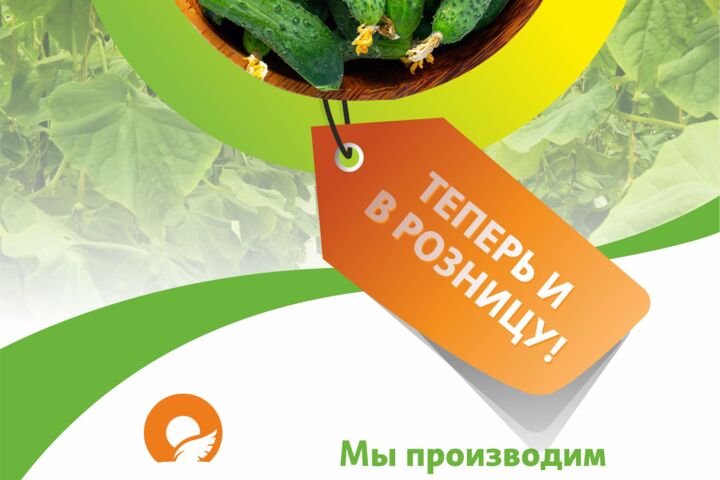 Полиграфия! Профессионально! Адекватная стоимость!