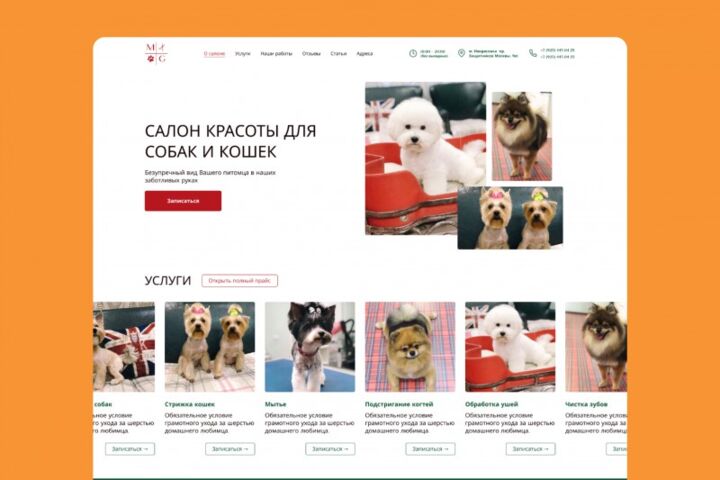 Создание сайта