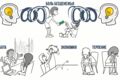 Doodle видео