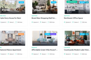 Real Estate2