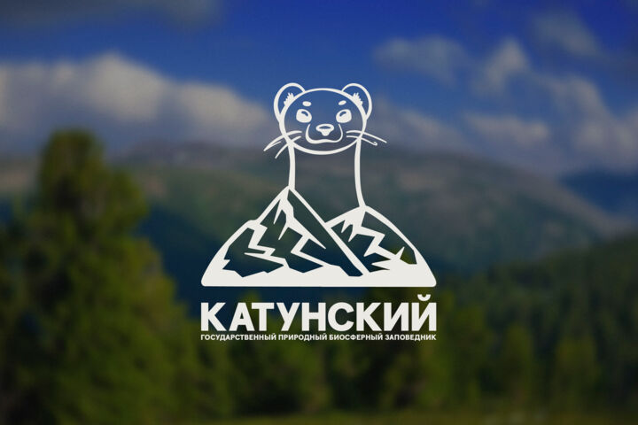 Создание логотипа