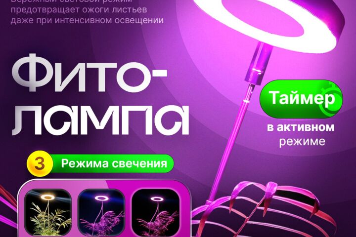 Графический дизайн для маркетплейсов
