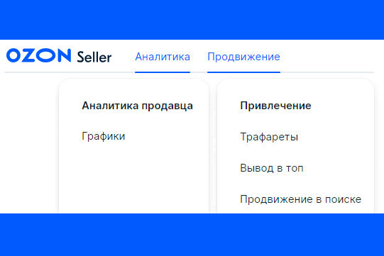 Выгрузка статистики личного кабинета продавца Ozon, Wildberries