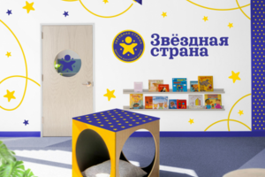 Звездная страна. Дизайн логотипа, фирменный стиль и брендбук.