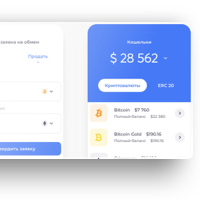 NanoBit Mobile App Design