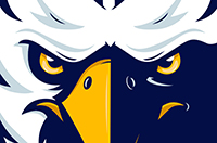 Fighting Eagle Foundation