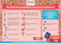 Работа 1654877