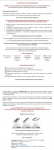 Коммерческое предложение, профили для гипсокартонной кладки