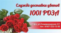 img2197698.png