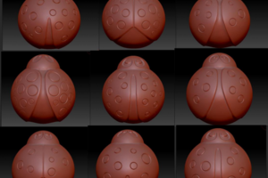 Ladybugs