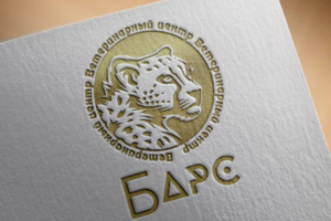 Разработка логотипа для компании БАРС