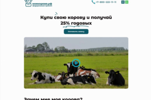 Полная разработка сайта под ключ